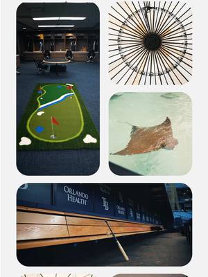 Do you want the house tour?  #RaysUp #MLB #OpeningWeek #TropicanaField 