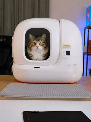 Tens gatos? Não gostas de estar constantemente a limpar a caixa de areia? Vê bem esta review da caixa de areia inteligente PuraMax 2 da Petkit.#radiopopular #rp #foryoupage❤️❤️ #rptech #petkit #pet #doglovers #catlovers #fyp @petkitofficial