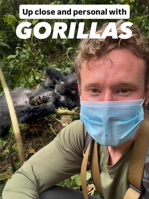 I can’t believe how wrong I was about Gorilla trekking.. and I’m so glad I was wrong 🦍  . . . #gorillatrekking #uganda 