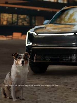 Dites allô au Kia EV5, un VUS électrique emballant pour toute la famille, même vos amis poilus. #EV5 #KiaCanada #MovementThatInspires