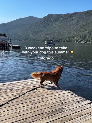 Summer is coming up fast! ☀️🍑 these 3 towns make for easy, weekend road trips from denver that feel like a total escape. Let me know if you need recs of where to stay/what to do! #colorado #denver #roadtrip #dogfriendly 