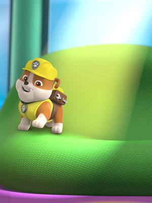 He protect. He serve. He chase the sunbeam.☀️🐾 #PAWPatrol