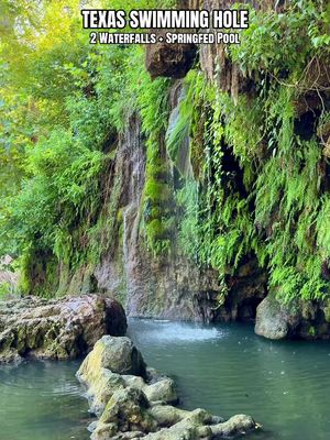 2 WATERFALLS in Texas 😍💦 Krause Springs in Spicewood features a spring fed grotto, waterfalls, and a beautiful swimming area surrounded by lush greenery 🌿 📍 424 County Road 404, Spicewood, TX Adults $11 Kids $6 #krausesprings #texascheck #hiddengems #texaswaterfalls #texasswimmingholes  