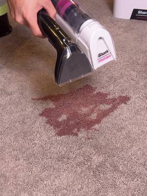 What’s the best stain remover? #stainremover #Greenish #petstains #stains #cleaning 