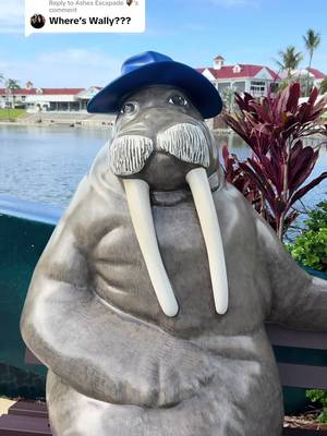 Replying to @Ashes Escapade 🦇 Guess who's back? 🤭 Everyone's favourite Walrus has found his way home!  Wally has a fresh coat of paint and is ready to be a part of your Sea World snaps 📸