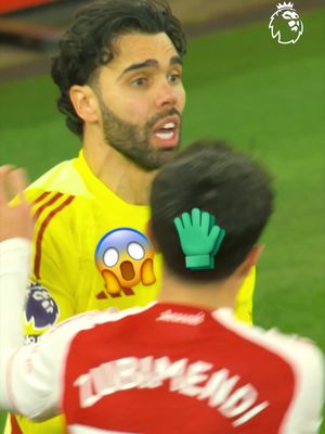 Is David Raya the best goalkeeper in the world right now? 🧤 @arsenal #PremierLeague 