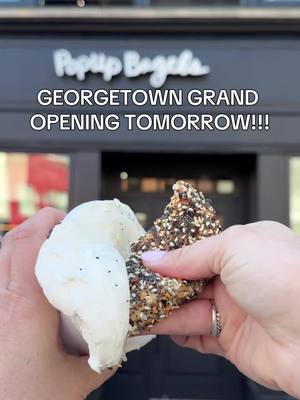 GEORGETOWN GRAND OPENING TOMORROW FT LOTS OF SPECIAL SURPRISES ‼️ #popupbagels #FoodTok #georgetown #dmvtiktok 