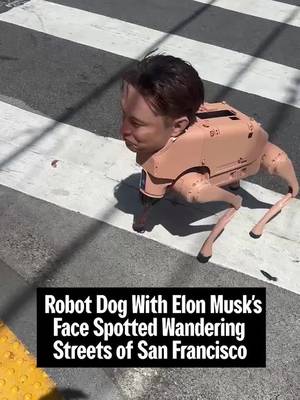 A deeply unsettling robot dog bearing the eerily realistic face of Elon Musk was spotted mid-walkies on the streets of San Francisco this week. The robot is part of the Regular Animals project by Beeple, aka Mike Winkelmann, created in collaboration with mask-maker Hyperflesh and built on Unitree Go2 robot dogs. Art foundation NODE told WIRED the robots were taken out on a walk to promote Beeple’s upcoming exhibition in Palo Alto. Other versions of the robot dog feature the faces of Mark Zuckerberg, Jeff Bezos, Andy Warhol, Pablo Picasso, and Beeple himself.