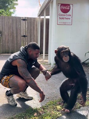Chimpin ain’t easy 🦍