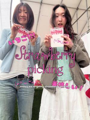 Hobby hopping episode 8!! If you know anything about Japanese strawberries, you know that they're the best strawberries you'll ever eat in your life (hence why they're so expensive🥲)  BUT at this strawberry farm you can definitely get your money's worth if you stuff your face like me 🙂 The best part about this whole experience was getting a packet of condensed milk and a mochi to make your own daifuku!!!    ⭐︎Details⭐︎ ICHIGO HOUSE.MITAKA Location:📍1-8 Mure, Mitaka City, Tokyo 181-0002 Pricing: ¥4,000 per person for all you can eat course #Japan #Tokyo #Japantravel #japanexperiences 