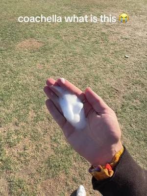 Well once I rubbed it in and rn I washed it off but I’m still confused 😭  #coachella #coachella2026 #carcamping #carcamping #coachellacamping 