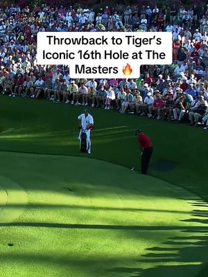 One of the greatest shots of all-time #golf #TheMasters   