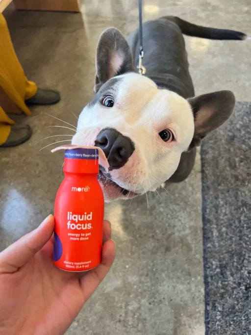 Happy #nationalpetday 🐾 from our team pets ❤️  At More Labs, we believe in taking care of ourselves so that we can show up to refill their bowl.  Here’s to getting MORE out of life with the ones who make life pawsome.