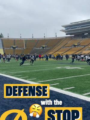 #GoBears