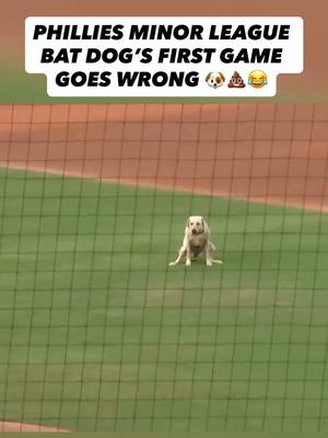 Lucy May’s debut as the bat dog for the Phillies Single-A Clearwater Threshers did NOT go as planned 😂 (🎥 via Clearwater Threshers) #MLB #Baseball #PhiladelphiaPhillies #Phillies #Funny