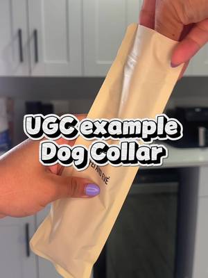 Example video for a dog collar brand ✔️ #dogreview #ugccontent #petproducts #ugccontentcreator #ugcexample