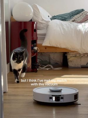 ad @Shark Home UK’s new UV Reveal Robot Vacuum & Mop: 1 Bug's fur, pee paws, and bits of dried fish food: 0 #SharkUVReveal #SharkRobot