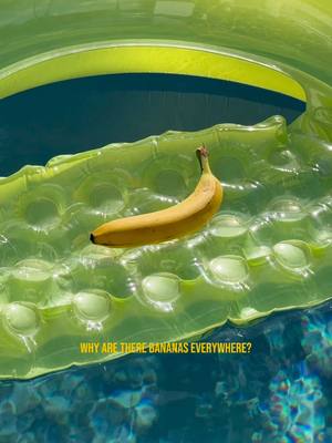 no one regrets more bananas 