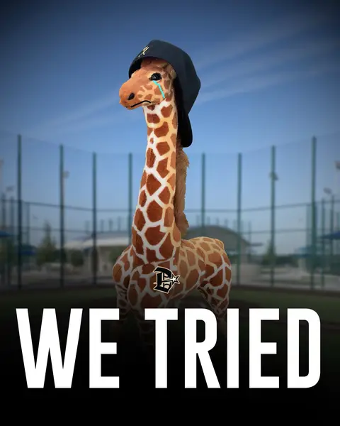 Every hero needs an origin story… #BeElite #dsarm #baseball #dsarmelite #perfectgame 