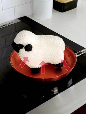 What is induction? #foodscience