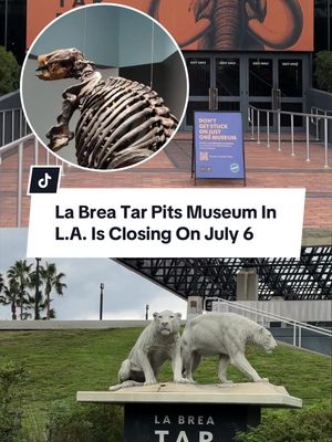 The La Brea Tar Pits will close its museum on July 6, 2026 for a massive upgrade expected to last about two years. This project is aimed at modernizing the facility ahead of the 2028 Olympics. Officials say the museum has simply run out of space, as its collection has grown to more than 2 million fossils and specimens. Click [🔗 IN BIO] for more info! #losangeles #labreatarpits #museum #announcement #news 