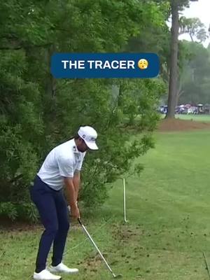 Cameron Young with an unreal recovery shot at the RBC Heritage.  #TOURVault 