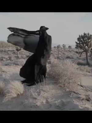 Kings have all lost their heads #chelseawolfe #painisbeauty #jennihensler #kristincofer 
