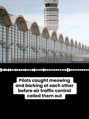 Two pilots appeared to make meowing noises and dog barks as they communicated with each other before air traffic control at Ronald Reagan Washington National Airport called them out on Sunday. "You guys, you need to be professional," an air traffic controller is heard saying. #pilots  