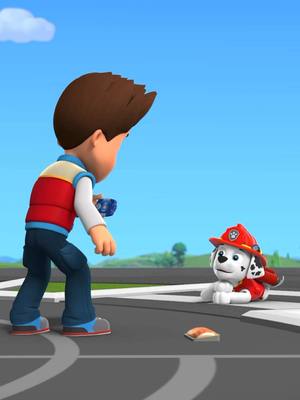 IRL zoomies  📸 #PAWPatrol 