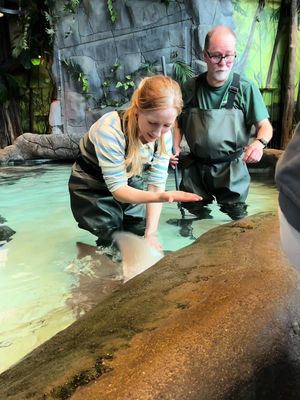 Vive les raies et les bibittes dans l’eau. Merci 🩵🌏 #aquariumduquébec #sepaq 