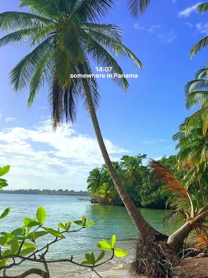 & that somewhere is… Bocas del Toro 🏝️ Island paradise to switch off and slept a few days living the perfect slow island life. Keep an eye out for sloths and monkeys! 🦥 #bocasdeltoro #panamatravel #travelpanama #panamatrip #islandlife 