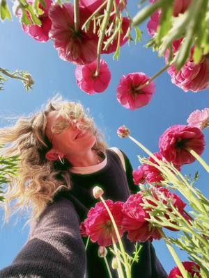 posing with flowers like @Jacey West 🙂‍↕️ #slowliving #granolagirl #saltedgranola #flowerfield 
