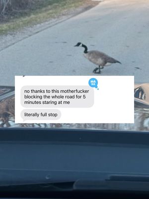 Jumping on the using AI to turn my son’s texts into an emo song trend. Gotta say, it’s a bop, although he was not impressed. Hopefully you giggle like I did while putting this foul mouthed ditty together. To put a few things into context, he just got his driver’s license. To earn some gas money, he cleaned the windows inside the house, apparently my office windows were disgusting 🫣 Also, he tries his best to shock me (see the health class text). It rarely works. He asked me to be a Karen because the AC wasn’t working at school and he was hot. I tried driving our old truck up to WI the other week and thought I blew the transmission. I didn’t, but it didn’t stop his dad from teasing me. I swear that truck hates me.