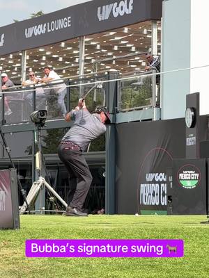 Poetry in motion #golf #golfswing #bubbawatson #golfer #golftiktok 