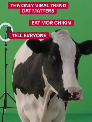 #eatmorchikin