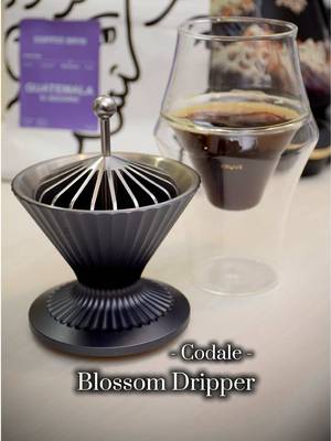 Blossom dripper from @codale, the Codale family grows ☕️🤎 New dripper in my collection, metal body, isolated walls, wooden base, beautifully crafted feeling high quality and compact enough for a 15-20g dose. Its design emulates a flower blooming (reason why its name I assume), or at least that’s what I see when the flat bottom paper filter is placed on top, really feeling the connection with nature, with plants, with flowers, where coffee cherries come from 🤎🪴🌸 Featuring here my other Codale tool, the filter presser, which has become a must in my pour over ritual! Featuring also my first Guatemala single origin coffee from @Coffee Bros. (farm El Socorro), Pacamara varietal, which beans are huge in size, I was surprised when I opened then bag! The cup profile for this natural process turned out very balanced with a particular sweet aftertaste using the Codale dripper 🙌🏻 Recipe: 15g (ratio 1:15) at 199°F/93°C in  0:00 - 0:45 - Gentle bloom (45g), 0:45 - 1:05 - Medium-fast pour with medium agitation (145g), 1:45 - 2:00 - Gentle pour with low agitation (225g) ~2:45 end Thank you Codale for sending over the dripper! 🫶🏼😌 Other pour over tools used: • Flow M900 Gen2 kettle and Balance Pro scale from @Cocinare Direct (link in IG bio for discounts) • Double wall EXCITE glass and Earth dosing/espresso cup from @kruveinc @Our Coffee Shelter  (affiliate link in IG bio to support me) • Range server from @Ovalware (link in IG bio for discounts) • K6 grinder from @kingrinder  #coffee #cafe #guatemala #fyp #foryoupage 