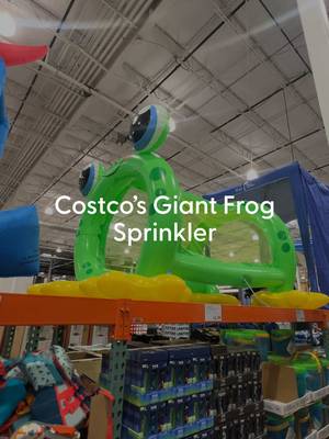 This is not a drill: The giant frog sprinkler of our dreams has officially landed at Costco. 🐸💦 He’s big, he’s green, and he’s about to make you the most popular house on the block this summer. How much would you spend on a giant frog sprinkler? ⬇️