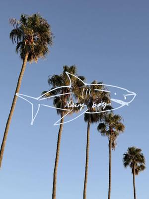 san diego we’re heading your way ♡ 🦈 #dairyboystudybreak #college #sandiego #sdsu #ucsd 