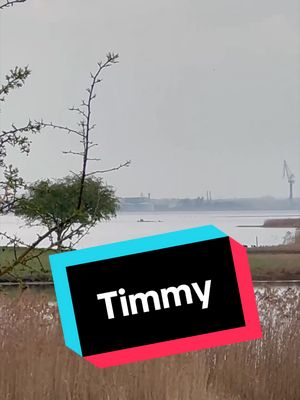 Wird Timmy gerettet ? #matzeknop #timmy #wal 