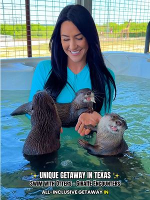 Stay at @Blue Hills Ranch, a 150-acre ranch with 200+ animals where you can customize your stay with giraffe encounters, safari rides, swim and playtime with otters, private chef dining & more. One of the most unique getaways in Texas! 🦒🦥🦓🦦🦘 📍Blue Hills Ranch - McGregor, TX #giraffes #swimwithotters #animalexperiences #texastravel #texas  