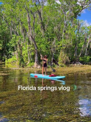 Florida springs vlog 🐊 A quick but important note: exploring the Florida springs is a magical experience, but it’s never fully “safe” when alligators share the water. An attack may be statistically unlikely, but unlikely and safe aren’t the same thing.  There are many variables at play, from nesting season to the individual animal’s temperament to whether it’s been fed by humans. That’s why I highly recommend going out with a local guide who actually knows the wildlife, especially my friend Josh @FloridaGuideJosh  He’s spent years learning alligator behavior and body language and he’s the one I trust to explore these springs with.  Respect these animals as the wild, powerful creatures they are, and please be sure to keep the springs as wild and clean as you found them!