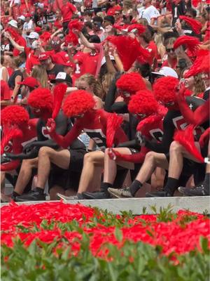 Only 140 days until we can get back between the hedges ❤️ #GoDawgs 