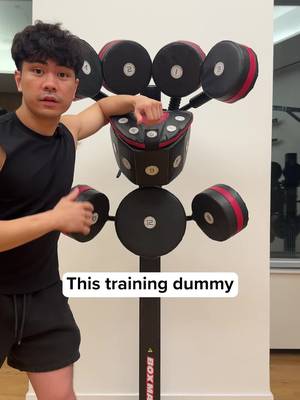 GENIUS boxing dummy #fighting #martialarts