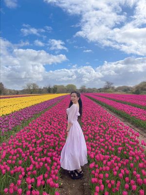 Llife is better without a coat ruining my outfit 🌷💖☀️ The stunning @NorfolkTulips  9.1 million tulips across their two fields, famously used as a backdrop in the Wicked films for Munchinkinland. I preferred the left field as it was quieter and the tulips had grown higher, perfect for photos.  All proceeds go to Tapping House Hospice  _ Norfolk tulips field, flower fields, tulip flowers, tulip farm, uk tulips field #tulipsfortapping #tulipsfortapping26 #norfolktulips