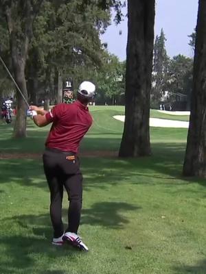 unreal birdie from Josele! #golf #mexico🇲🇽 #spain 