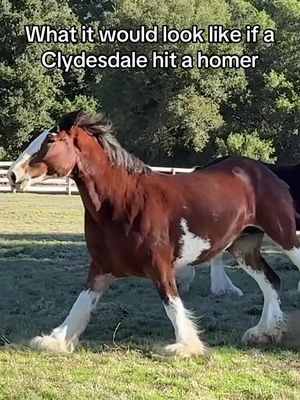 Imagine a Clydesdale trotting the bases after a huge homer. 