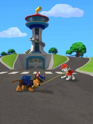 Who do you and your little one think wins a game of tug of war? Drop a 💙 for Chase ❤️ for Marshall 🐔 for Chickaletta #PAWPatrol