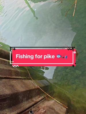 I Hooked a BIG Fish 🐟🎣 #fishing 