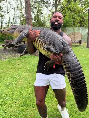 Comment your thoughts 💭 #fyp #tiktok #explore #alligator #animals 