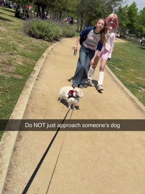 Why would you ever try and pet someone's dog 😤